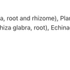 RespirafectMD image 4