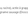 Tonique menstruel image 1