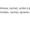Tonique menstruel image 4