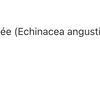 Tonique pour la prostate image 4